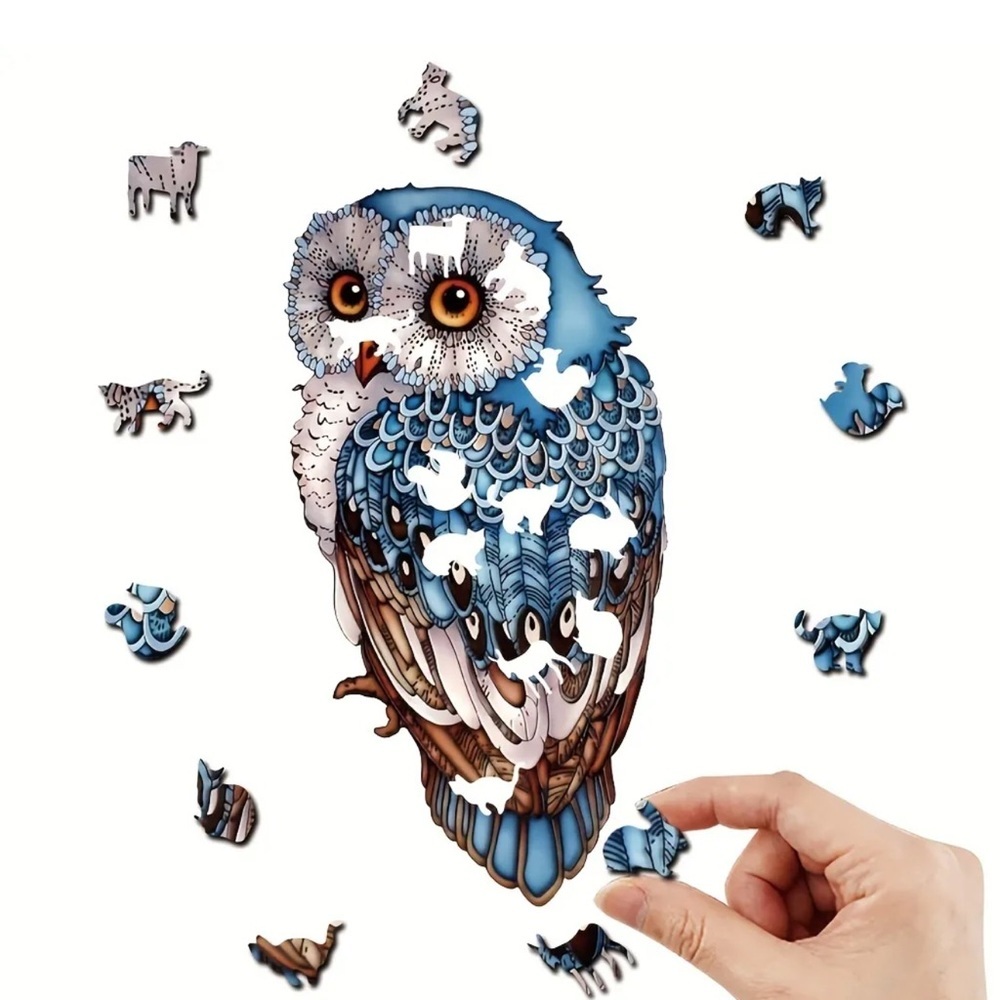 Colorful Owl Wooden Puzzle